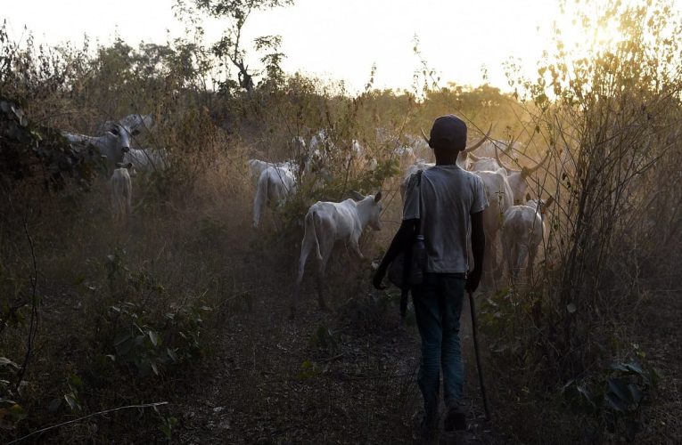 Over 60 Killed in Benue State Amid Herdsmen Attacks